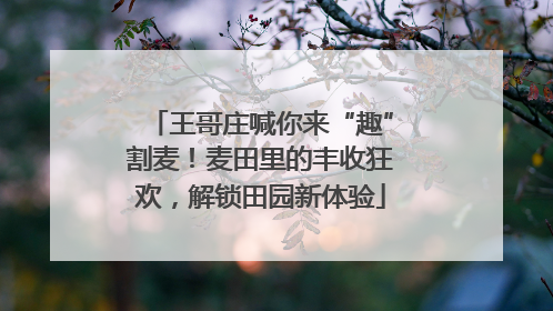 王哥庄喊你来“趣”割麦！麦田里的丰收狂欢，解锁田园新体验