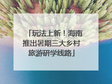 玩法上新！海南推出暑期三大乡村旅游研学线路