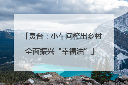 灵台：小车间榨出乡村全面振兴“幸福油”