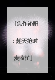 焦作沁阳：趁天抢时麦收忙