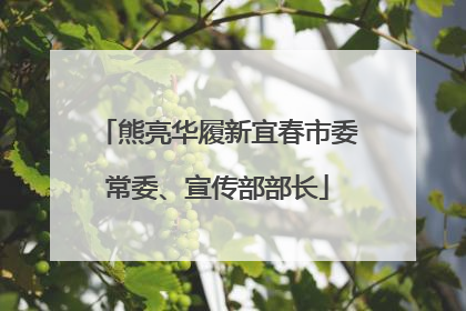 熊亮华履新宜春市委常委、宣传部部长