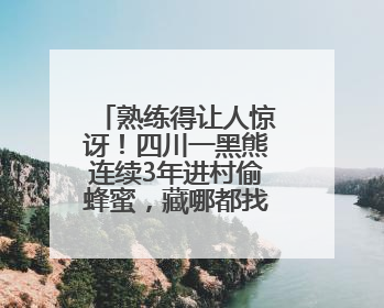 熟练得让人惊讶！四川一黑熊连续3年进村偷蜂蜜，藏哪都找得到