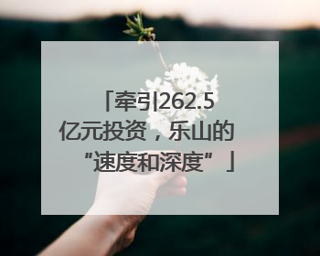 牵引262.5亿元投资，乐山的“速度和深度”