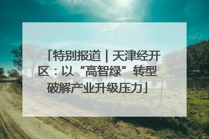 特别报道｜天津经开区：以“高智绿”转型破解产业升级压力