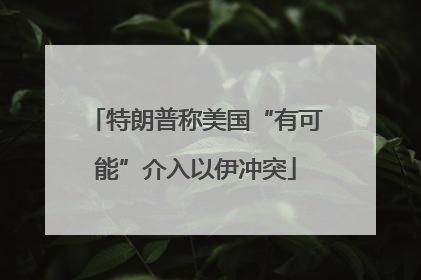 特朗普称美国“有可能”介入以伊冲突