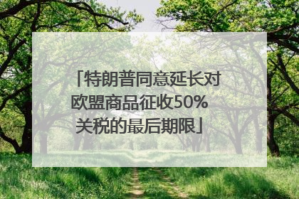 特朗普同意延长对欧盟商品征收50%关税的最后期限