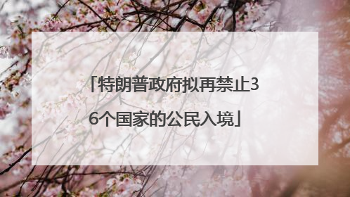 特朗普政府拟再禁止36个国家的公民入境