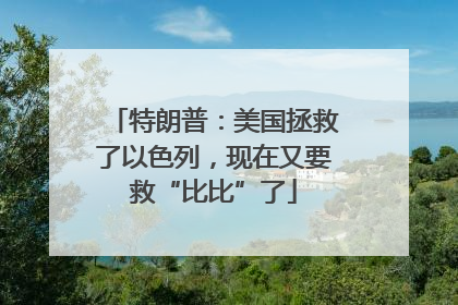 特朗普：美国拯救了以色列，现在又要救“比比”了