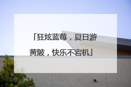 狂炫蓝莓，夏日游黄陂，快乐不宕机