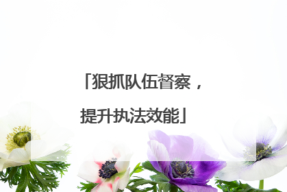 狠抓队伍督察，提升执法效能
