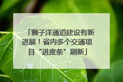 狮子洋通道建设有新进展！省内多个交通项目“进度条”刷新