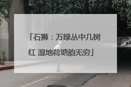 石狮：万绿丛中几树红 湿地荷塘韵无穷