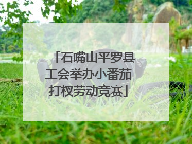 石嘴山平罗县工会举办小番茄打杈劳动竞赛