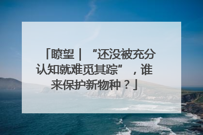 瞭望｜“还没被充分认知就难觅其踪”，谁来保护新物种？