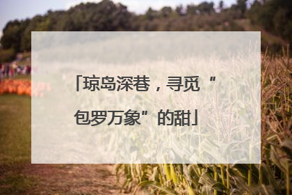 琼岛深巷，寻觅“包罗万象”的甜