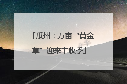 瓜州：万亩“黄金草”迎来丰收季