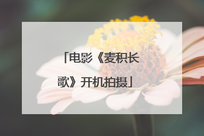 电影《麦积长歌》开机拍摄