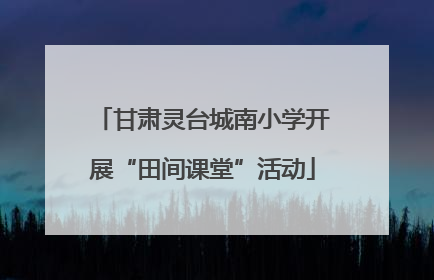 甘肃灵台城南小学开展“田间课堂”活动