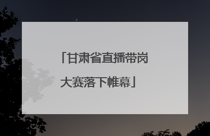 甘肃省直播带岗大赛落下帷幕