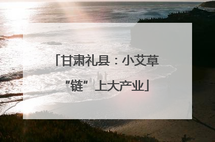 甘肃礼县：小艾草“链”上大产业
