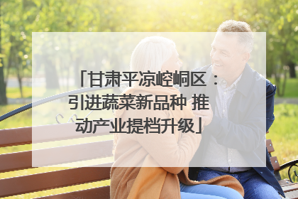 甘肃平凉崆峒区：引进蔬菜新品种 推动产业提档升级