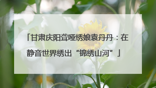 甘肃庆阳聋哑绣娘袁丹丹：在静音世界绣出“锦绣山河”