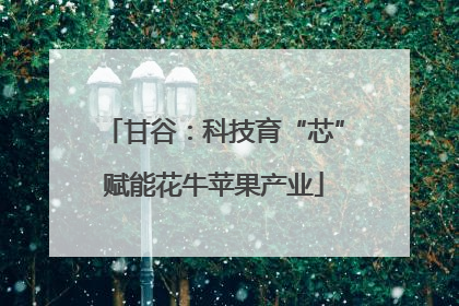 甘谷：科技育“芯”赋能花牛苹果产业