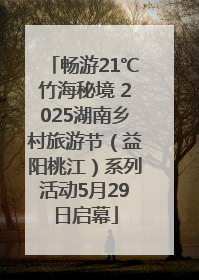 畅游21℃竹海秘境 2025湖南乡村旅游节（益阳桃江）系列活动5月29日启幕