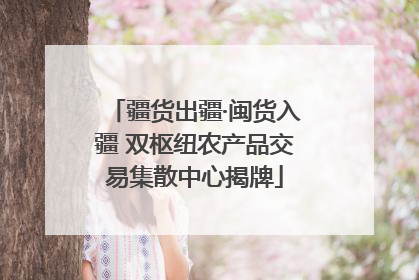 疆货出疆·闽货入疆 双枢纽农产品交易集散中心揭牌