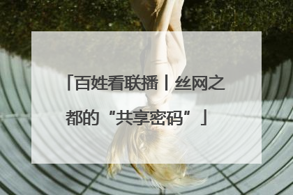 百姓看联播丨丝网之都的“共享密码”