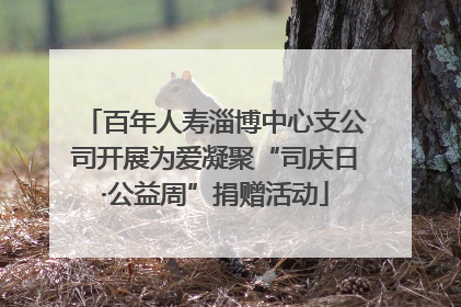 百年人寿淄博中心支公司开展为爱凝聚“司庆日·公益周”捐赠活动