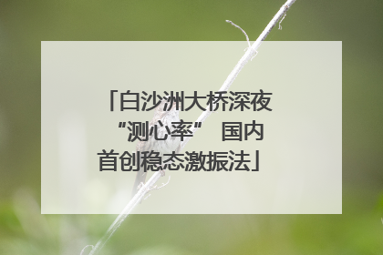 白沙洲大桥深夜“测心率” 国内首创稳态激振法