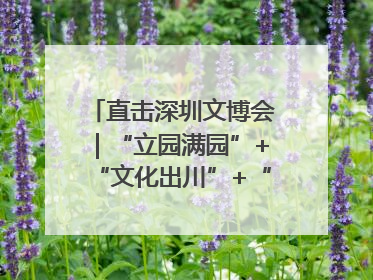 直击深圳文博会｜“立园满园”+“文化出川”+“科技赋能”，成都传媒发布三大文创领域合作清单
