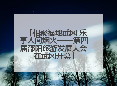 相聚福地武冈 乐享人间烟火——第四届邵阳旅游发展大会在武冈开幕