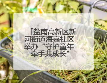 盐南高新区新河街道海嘉社区举办“守护童年 牵手共成长”主题活动