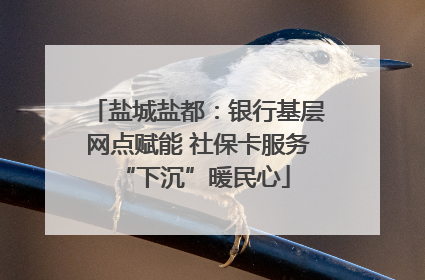 盐城盐都：银行基层网点赋能 社保卡服务 “下沉”暖民心