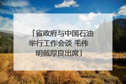 省政府与中国石油举行工作会谈 毛伟明戴厚良出席