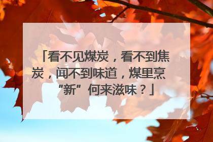 看不见煤炭，看不到焦炭，闻不到味道，煤里烹“新”何来滋味？