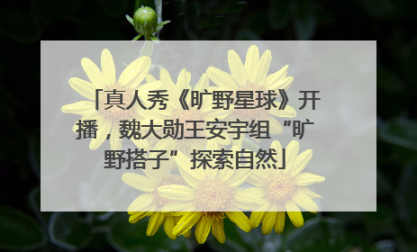 真人秀《旷野星球》开播，魏大勋王安宇组“旷野搭子”探索自然