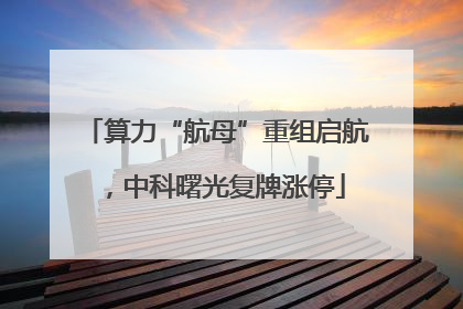 算力“航母”重组启航，中科曙光复牌涨停
