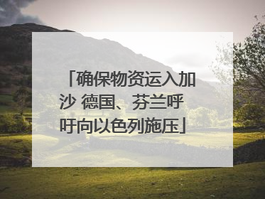 确保物资运入加沙 德国、芬兰呼吁向以色列施压