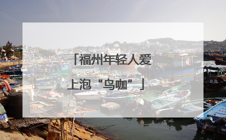 福州年轻人爱上泡“鸟咖”