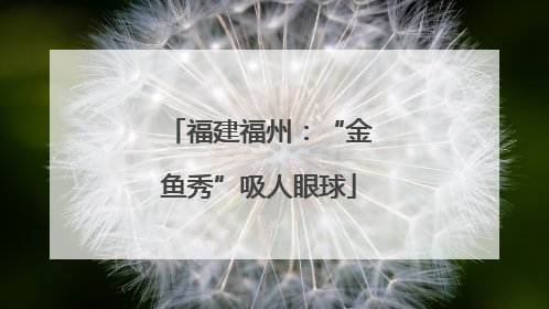 福建福州：“金鱼秀”吸人眼球