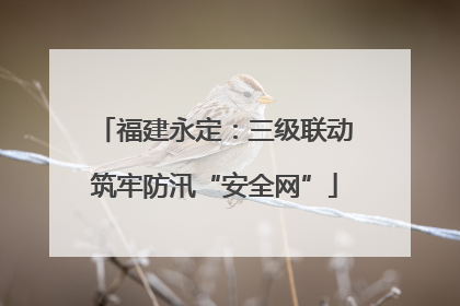 福建永定：三级联动筑牢防汛“安全网”