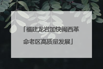 福建龙岩加快闽西革命老区高质量发展