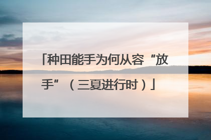 种田能手为何从容“放手”（三夏进行时）