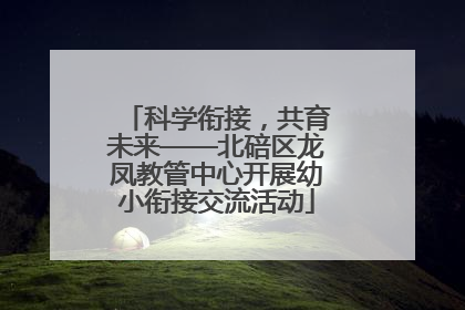 科学衔接，共育未来——北碚区龙凤教管中心开展幼小衔接交流活动