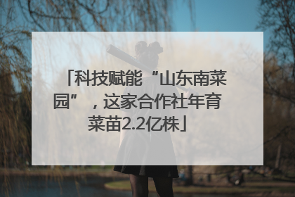 科技赋能“山东南菜园”，这家合作社年育菜苗2.2亿株