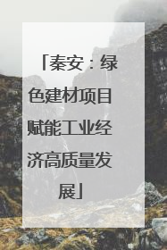 秦安：绿色建材项目赋能工业经济高质量发展