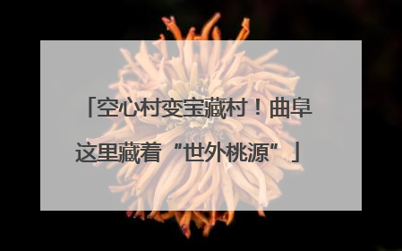 空心村变宝藏村！曲阜这里藏着“世外桃源”